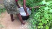 Cooking Goat Intestine in My Village - Our Lunch in our Village - Spicy and Hot Goat intestine curry