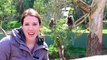 Feeding Kangaroos & SCARY AUSTRALIAN ANIMALS DisneyCarToys Sandra & ToysReviewToys visit Moose Toys