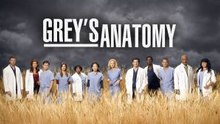 Grey's Anatomy Season 14 Episode 5; "Danger Zone"