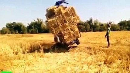 Amazing Things in the World - VideoEggs