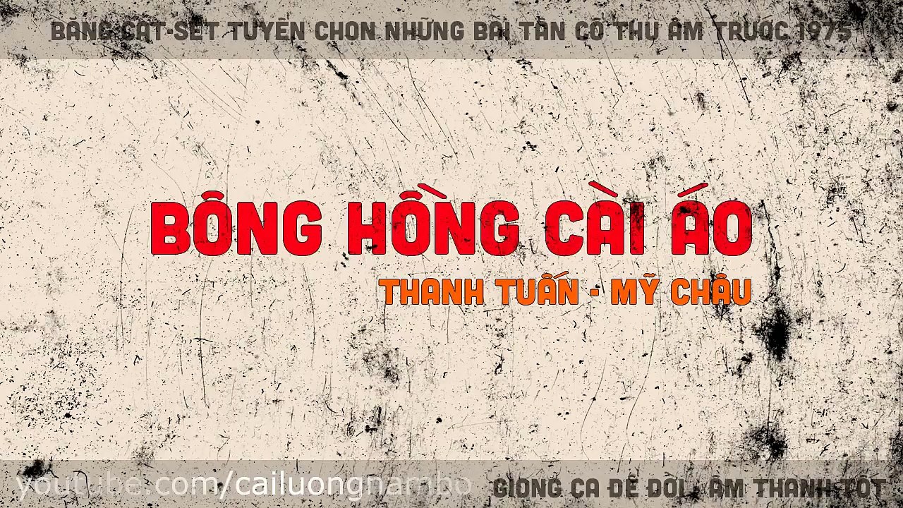 Bông Hồng Cài Áo, Thanh Tuấn, Mỹ Châu