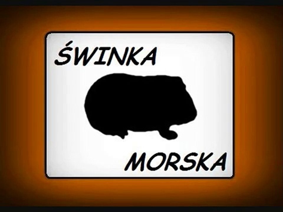 Odgłosy zwierząt - Odgłosy zwierząt dla dzieci