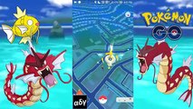 Shiny Gyarados vs Ditto | Shiny Magikarp vs Ditto Pokemon GO Shiny Gym Battle