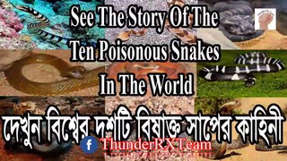 দেখুন বিশ্বের দশটি বিষাক্ত সাপের কাহিনী - See The Story Of Top 10 Most Venomous Snakes In The World