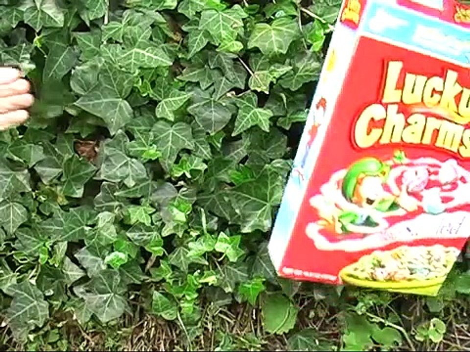 Jillian and the Beanstalk | Babyteeth4 Classics