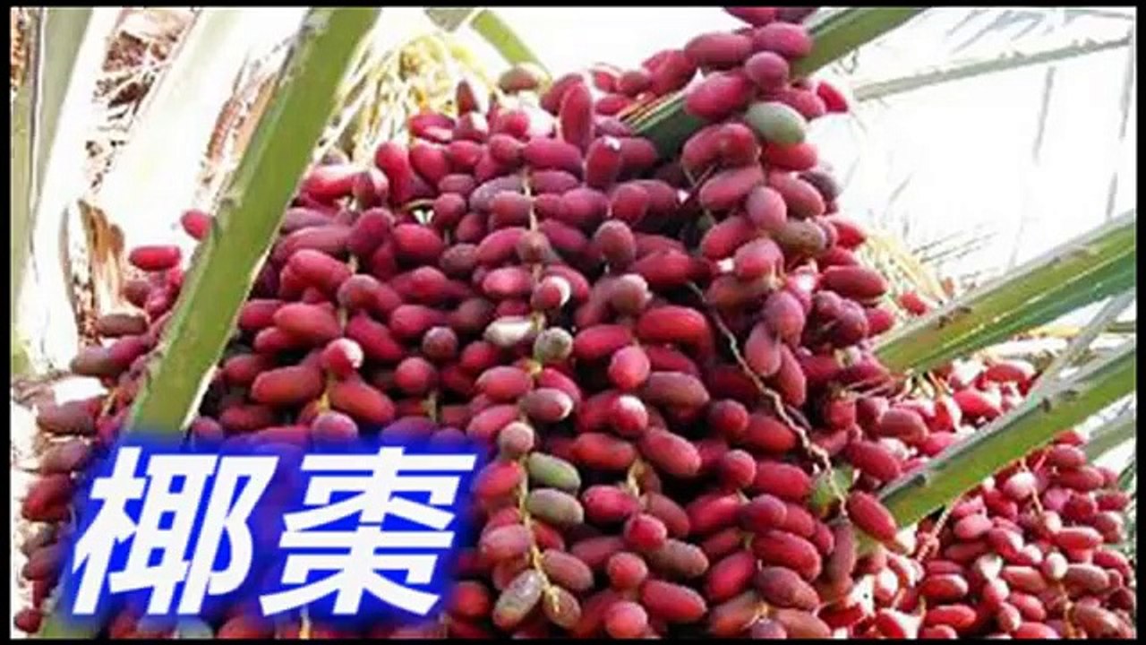 世界上最昂貴的11種水果，最高達140萬美元