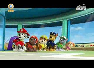 Trailer Phim Chú chó cứu hộ - See TV