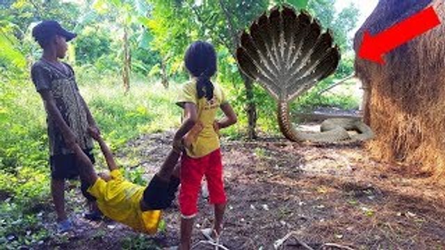 Are You Kidding Me? Young Kids Catch Very Big Village Snake While Collecting Mushrooms