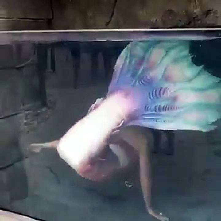 Real Mermaid Caught 2017