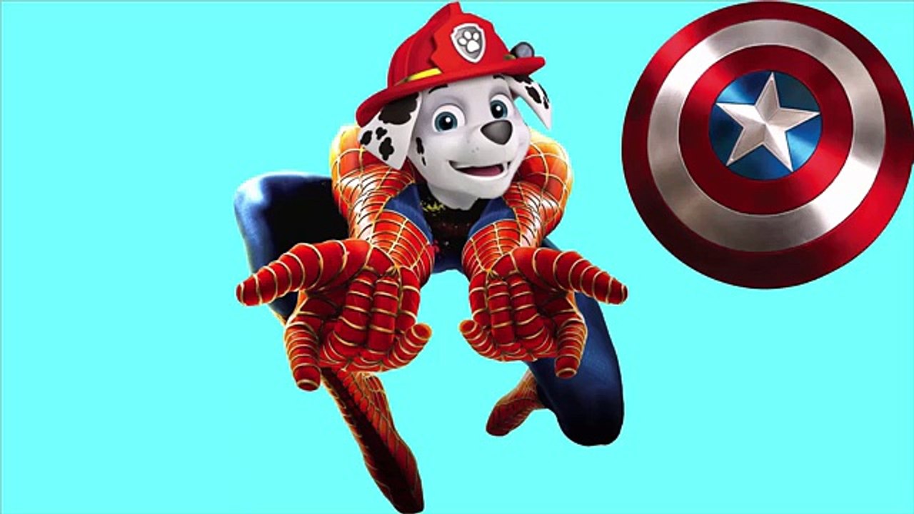 Paw Patrol marvel super heroes hulk iron man captain america spiderman transforming funny video