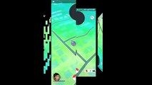 Pokémon GO egg hatching 10k x6 & catching MUK (FACE REVEAL)