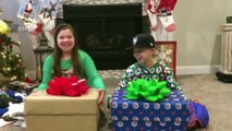 KIDS REACTIONS To Kitten And Puppy Surprise On Christmas Compilation 2017