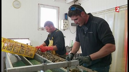 Un week-end de Rugby sur l'île d'Oléron