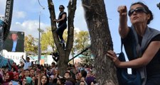 Erdoğan'a Sesini Duyurmak İçin Ağaca Çıkan Vatandaş, Hapisteki Eşine Kavuştu