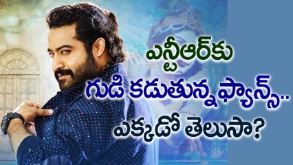ఎన్టీఆర్‌కు గుడి కడుతున్నఫ్యాన్స్. కానీ ఎక్కడో తెలుసా? Fans ready to construct temple for NTR