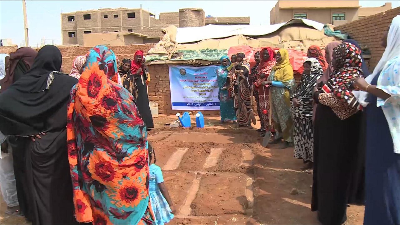 هذا الصباح-المرأة الريفية بالسودان نموذج الصبر على قسوة الحياة