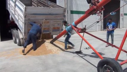 Mardin-Özel) Çiftçi, İthal Ürün İstemiyor