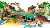 Dinozorlar, Vahşi Hayvanlar, Köpekbalıkları, Balinalar, Hayvanat Bahçesi Hayvanlar Kutuda neler var?