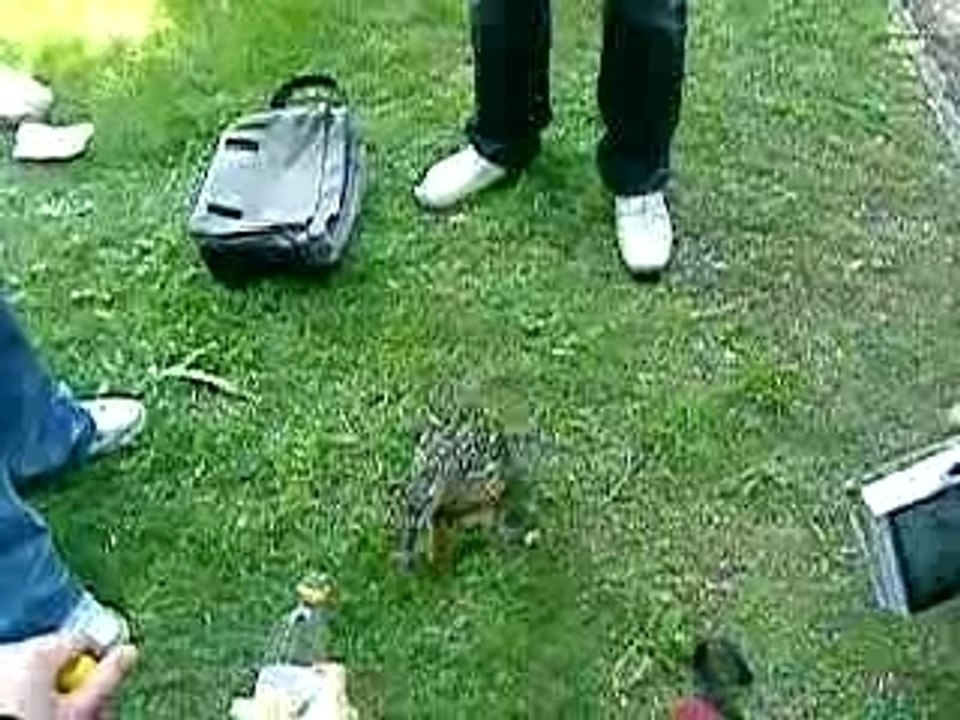 canard berlin