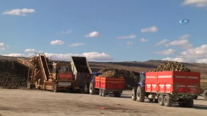 Kuraklık Pancar Üreticisini Vurdu