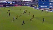 Cyril Thereau Goal HD - Fiorentina 1-0 Udinese 15.10.2017