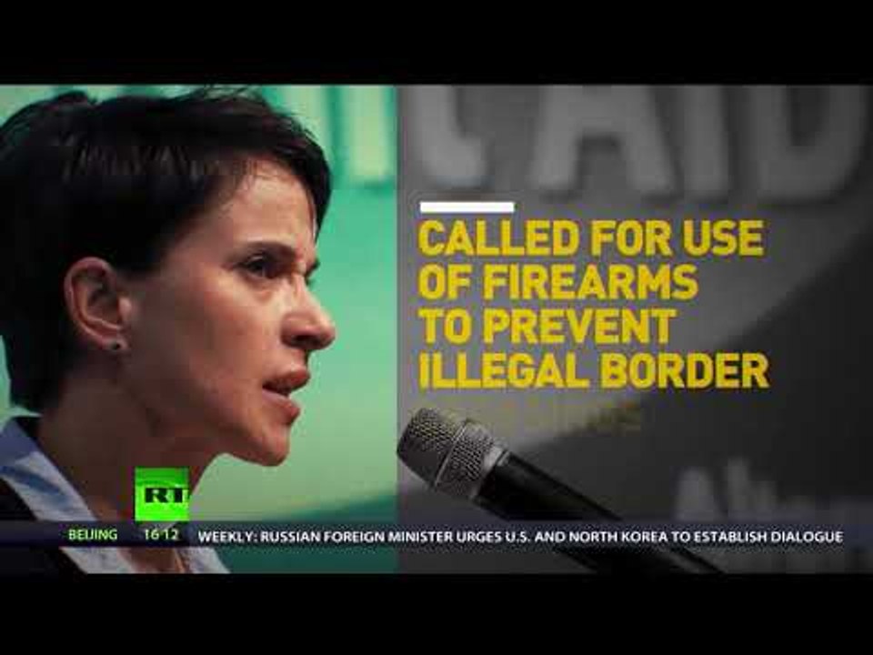 Faces & policies: Germany's AFD party