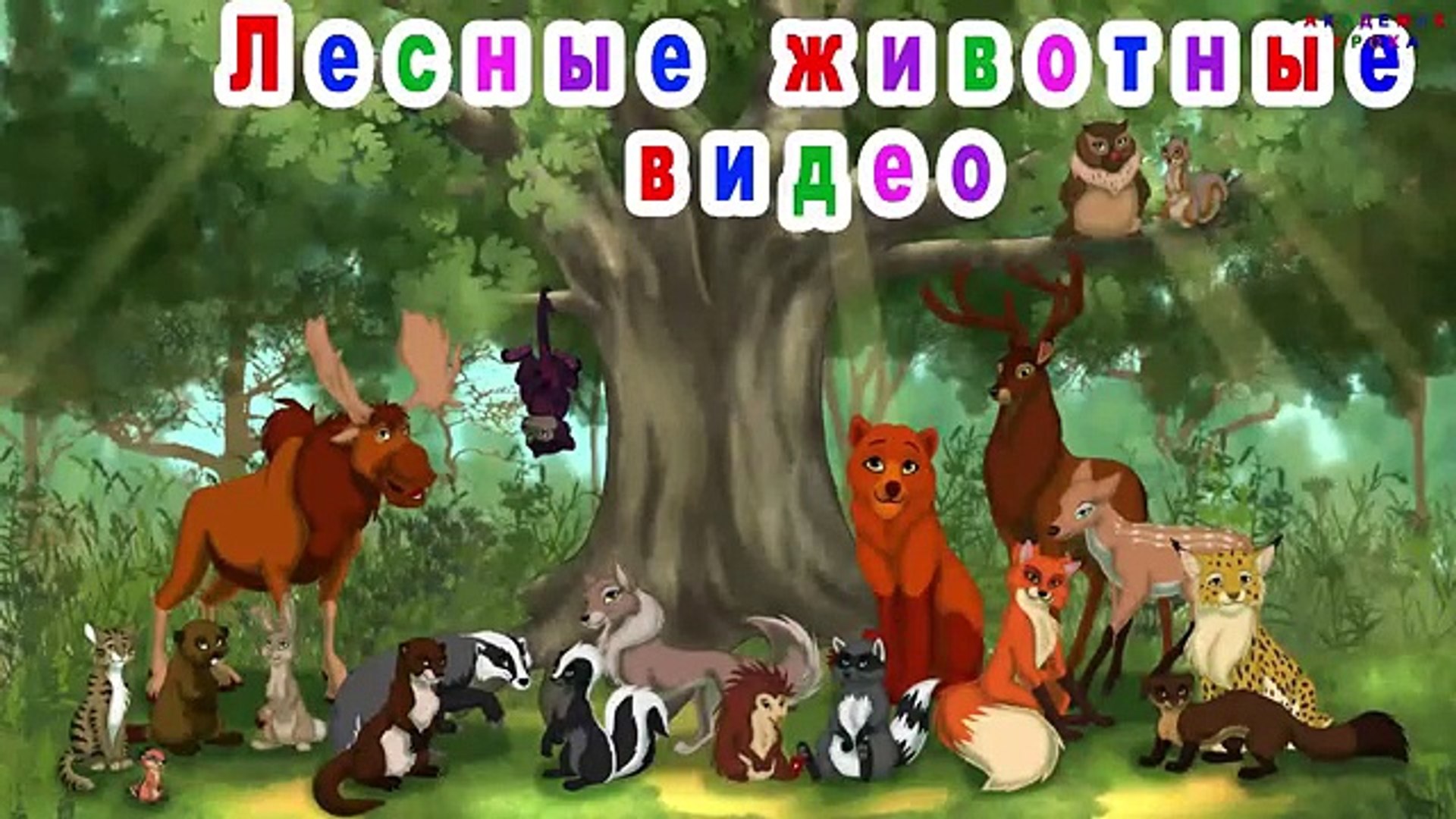 ⁣Лесные животные видео развивающие мультики для маленьких