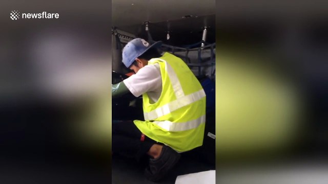 Baggage handler caught stealing from luggage