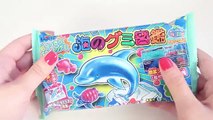 OCEAN GUMMIES DIY CANDY KIT KRACIE (make your own gummy candy)