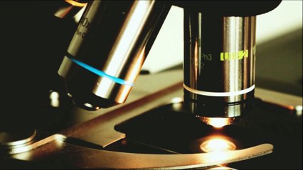 Immune Cell Finds Trash in Human Blood: Health