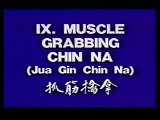 Tai Chi - Kung Fu Defense Chin Na