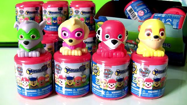 Paw Patrol Super Pups Mashems Toys FULL CASE by Funtoys | Transforming Paw Patrol in Super Heroes