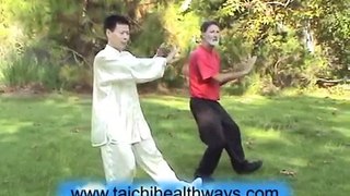 Tai Chi Taiji  Self-defense