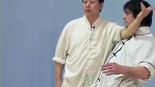 tai chi chin na taiji 01