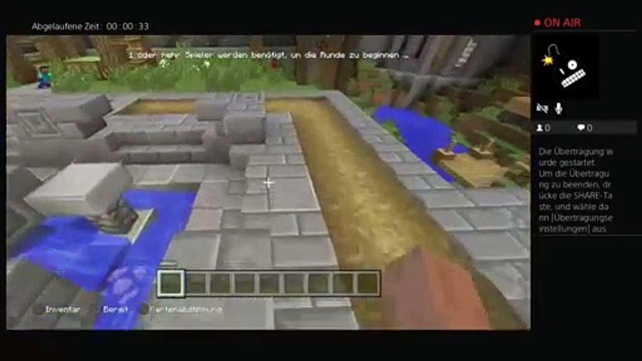 Minecraft (33)