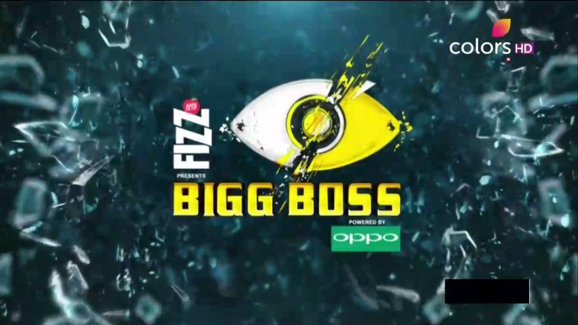 bigg boss 11 dailymotion