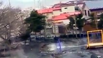 During Japan Tsunami a strange creature was caught on camera - real footage