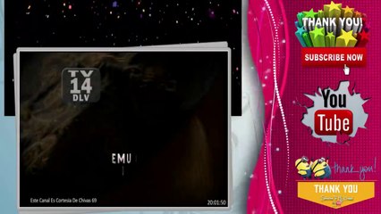 Mariposa de Barrio Capitulo 79