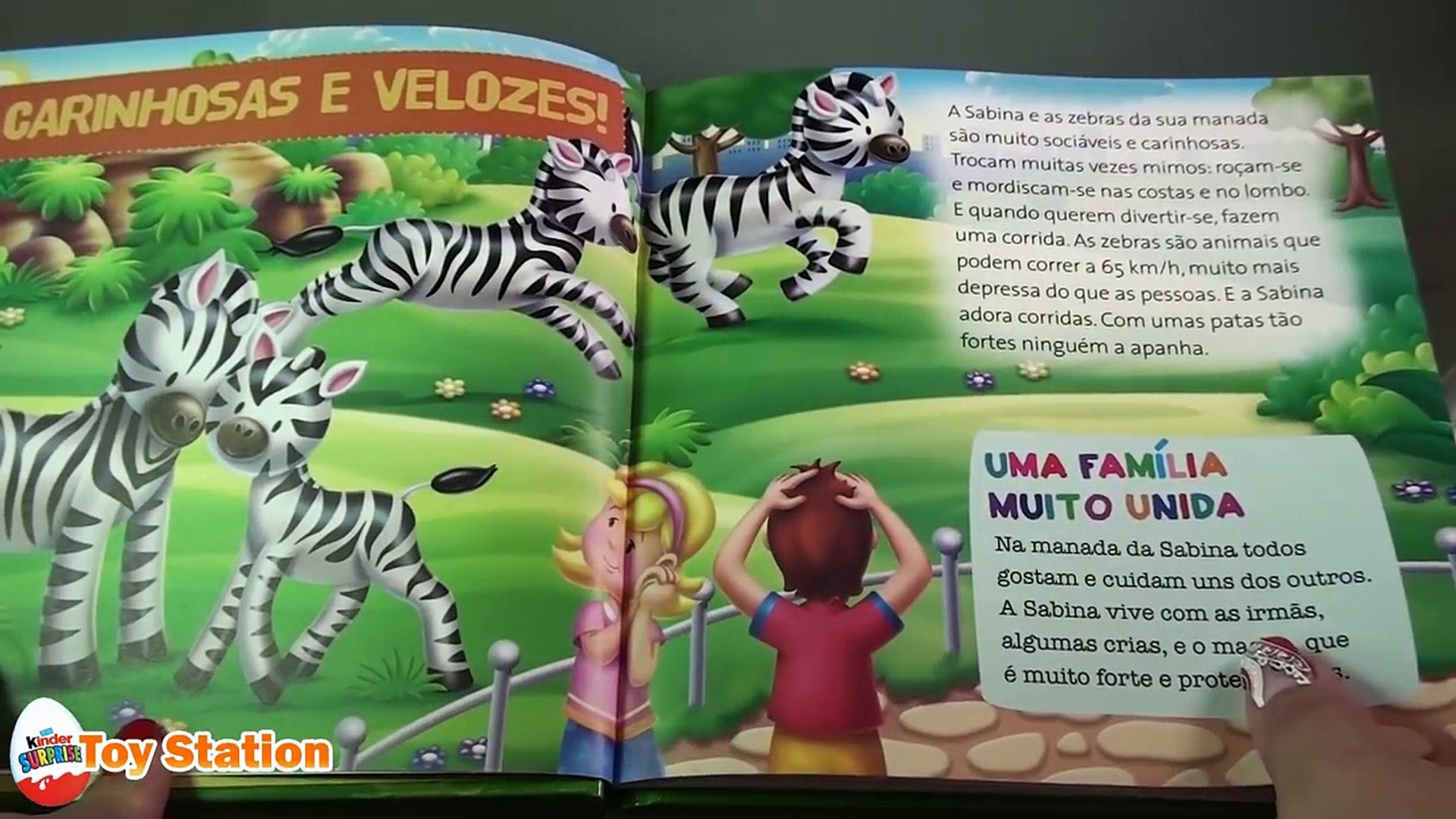 my zoo animals figures