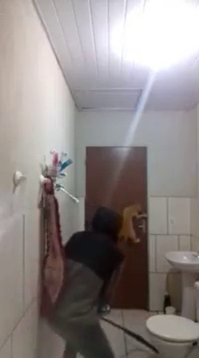 As we have a cat rat caught☺ .  Comment le chat et moi avons attrapé un rat