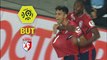 But Luiz ARAUJO (12ème) / LOSC - ESTAC Troyes - (2-2) - (LOSC-ESTAC) / 2017-18