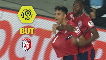But Luiz ARAUJO (12ème) / LOSC - ESTAC Troyes - (2-2) - (LOSC-ESTAC) / 2017-18