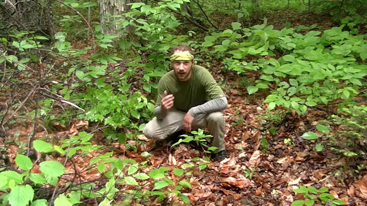 Thru hikers and pooping on the Appalachian Trail