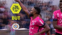 But Stéphane SESSEGNON (55ème) / Montpellier Hérault SC - OGC Nice - (2-0) - (MHSC-OGCN) / 2017-18