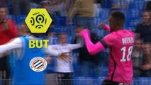 But Isaac MBENZA (74ème) / Montpellier Hérault SC - OGC Nice - (2-0) - (MHSC-OGCN) / 2017-18