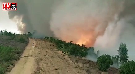 Impressionante TORNADO DE FOGO em Portugal