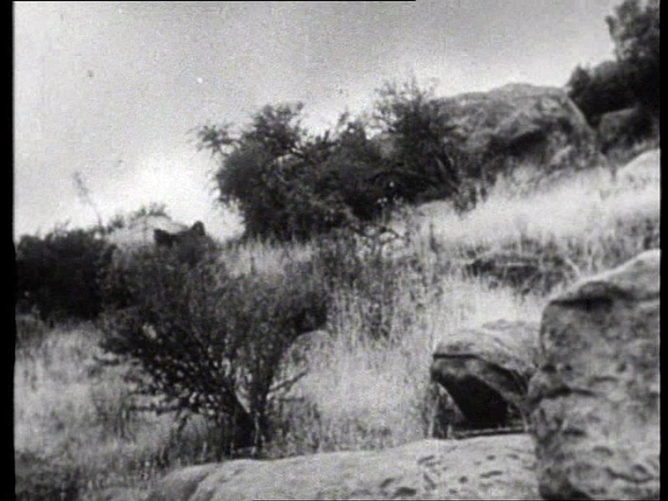 Fury Die Abenteuer eines Pferdes S01E02 Gefahr für Fury video Dailymotion