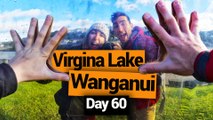Wanganui Market & Virginia Lake - New Zealand's Biggest Gap Year – Backpacker Guide New Zealand