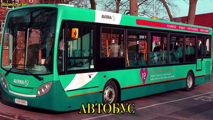 Транспорт и спецтехника, развивающий мультфильм, изучаем транспорт и звуки