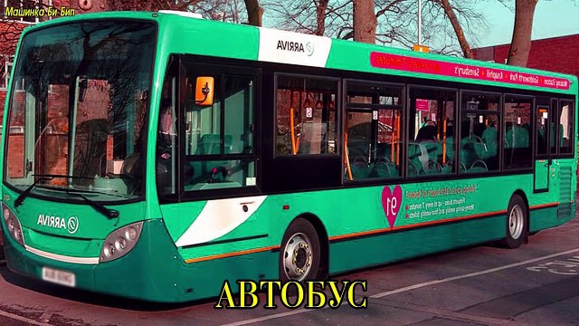 Транспорт и спецтехника, развивающий мультфильм, изучаем транспорт и звуки